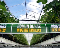 foto bij artikel
