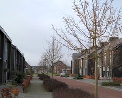 foto bij artikel