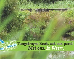 foto bij artikel