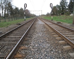 foto bij artikel