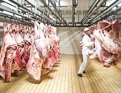 foto bij artikel