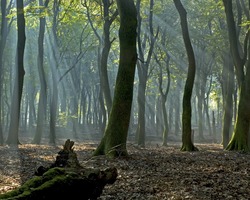 foto bij artikel
