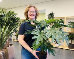 foto bij artikel