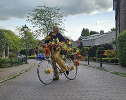 foto bij artikel