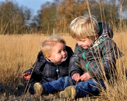 foto bij artikel