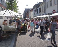 foto bij artikel