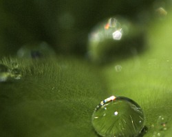 foto bij artikel