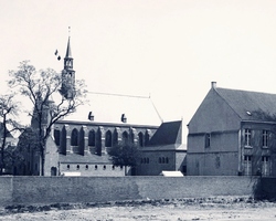 foto bij artikel